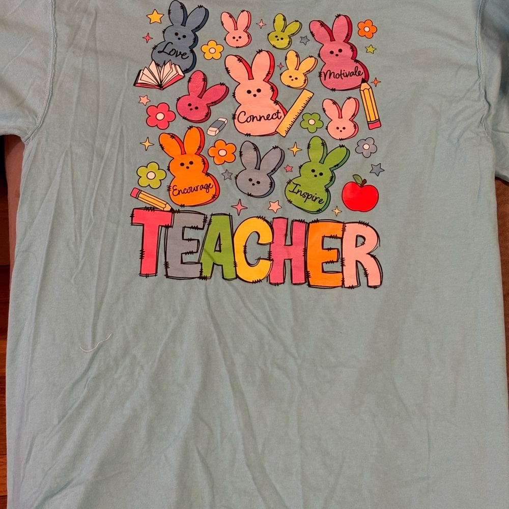 Adult Teacher Bunny Graphic T-Shirt - Blue